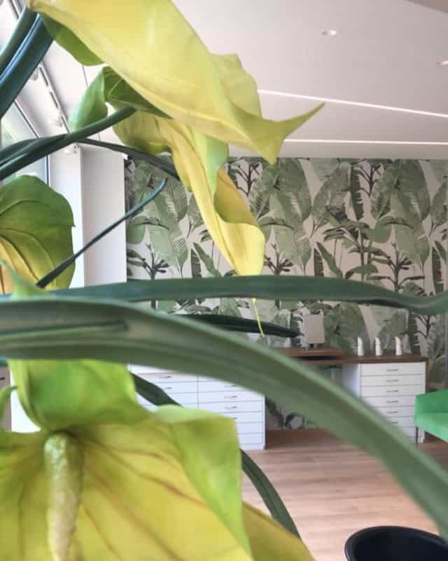 Negozio Occhiali da Sole Brescia: interno